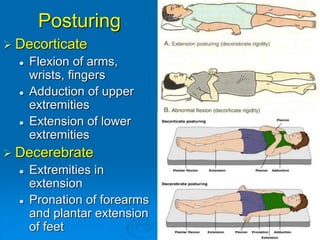 Pathophysiology of extremal states | PPT