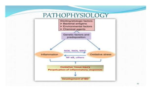Pathophysiology of inflamatory bowel disease | PPTX