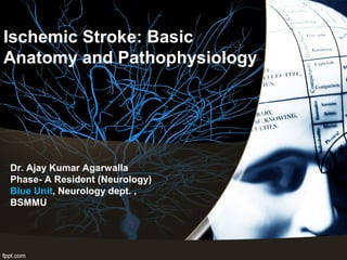 Ischemic Stroke: Basic
Anatomy and Pathophysiology
Dr. Ajay Kumar Agarwalla
Phase- A Resident (Neurology)
Blue Unit, Neurology dept. ,
BSMMU
 