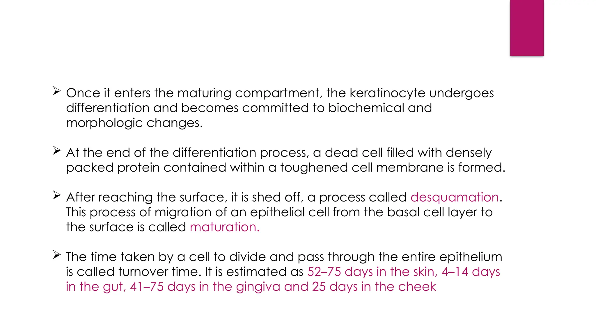  Once it enters the maturing compartment, the keratinocyte undergoes
differentiation and becomes committed to biochemical and
morphologic changes.
 At the end of the differentiation process, a dead cell filled with densely
packed protein contained within a toughened cell membrane is formed.
 After reaching the surface, it is shed off, a process called desquamation.
This process of migration of an epithelial cell from the basal cell layer to
the surface is called maturation.
 The time taken by a cell to divide and pass through the entire epithelium
is called turnover time. It is estimated as 52–75 days in the skin, 4–14 days
in the gut, 41–75 days in the gingiva and 25 days in the cheek
 