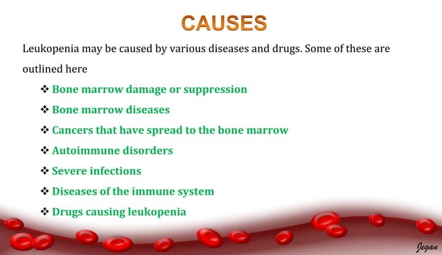 Pathophysiology of leukopenia | PDF | Blood Disorders | Diseases and ...