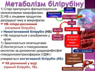 Pathophysiology of the liver 2018 (ukrainian language) | PPT