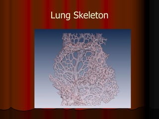 Lung Skeleton
 