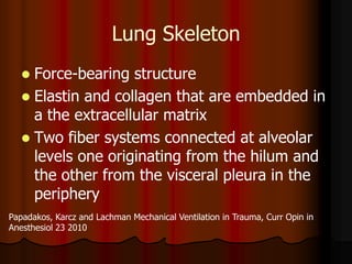 Lung Skeleton
    Force-bearing structure
    Elastin and collagen that are embedded in
     a the extracellular matrix
    Two fiber systems connected at alveolar
     levels one originating from the hilum and
     the other from the visceral pleura in the
     periphery
Papadakos, Karcz and Lachman Mechanical Ventilation in Trauma, Curr Opin in
Anesthesiol 23 2010
 