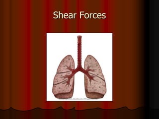 Shear Forces
 
