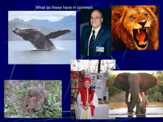 What do these have in common
 