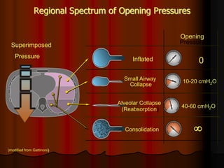 Regional Spectrum of Opening Pressures

                                                       Opening
  Superimposed                                         Pressure

    Pressure                            Inflated             0
                                     Small Airway      10-20 cmH2O
                                      Collapse


                                   Alveolar Collapse
                                                       40-60 cmH2O
                                    (Reabsorption)


                                     Consolidation         
(modified from Gattinoni)
 