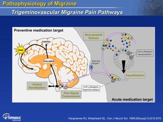 Pathophysiology of migraine | PPT