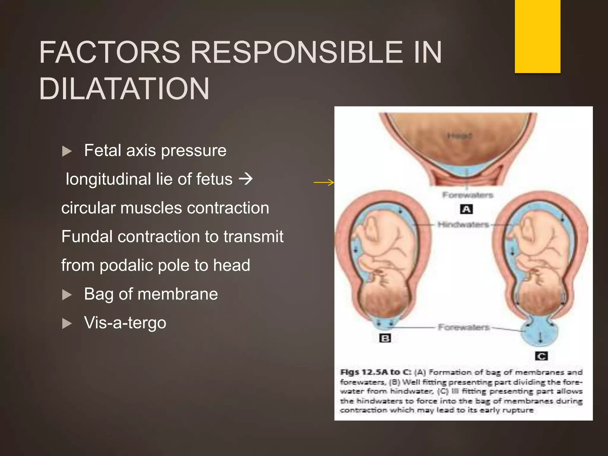 FACTORS RESPONSIBLE IN
DILATATION
 Fetal axis pressure
longitudinal lie of fetus 
circular muscles contraction
Fundal contraction to transmit
from podalic pole to head
 Bag of membrane
 Vis-a-tergo
 