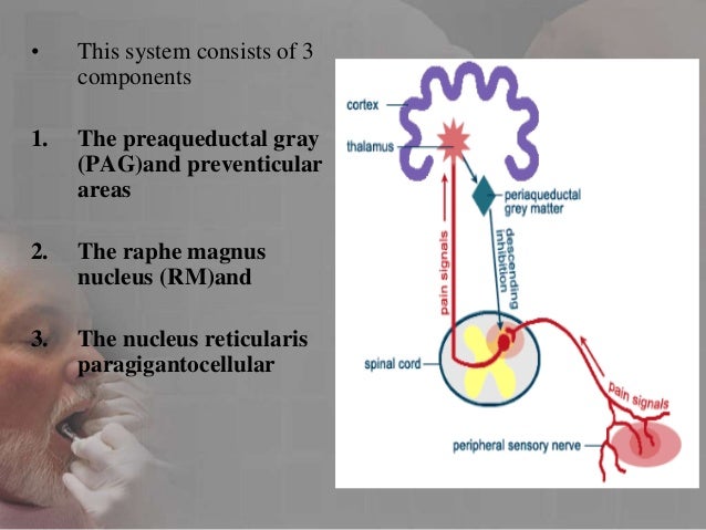 Pathophysiology of pain