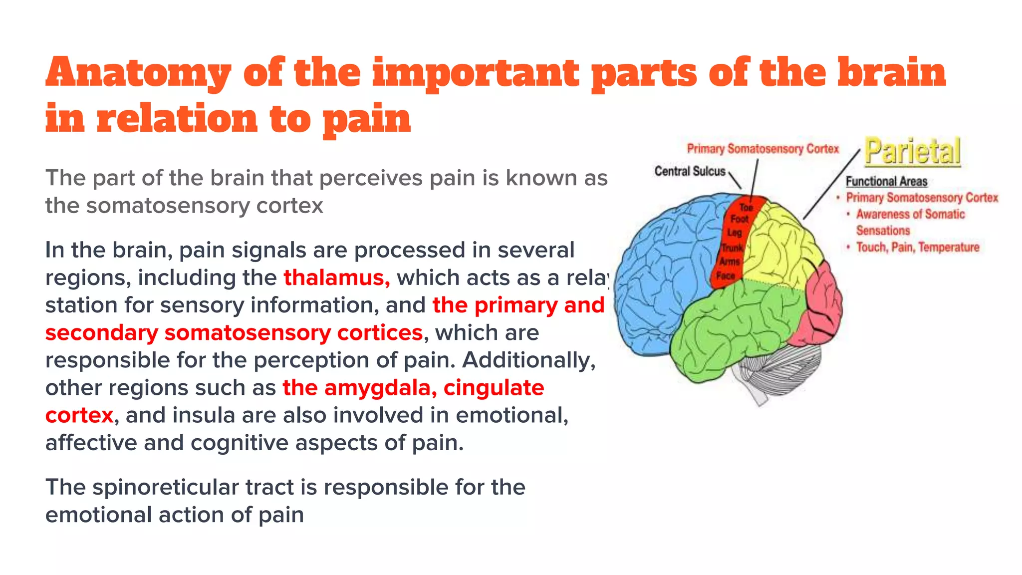 Pathophysiology of pain.pptx