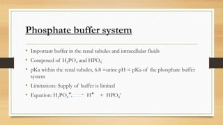 Phosphate buffer system
• Important buffer in the renal tubules and intracellular fluids
• Composed of H2PO4 and HPO4
-
• pKa within the renal tubules, 6.8 =urine pH = pKa of the phosphate buffer
system
• Limitations: Supply of buffer is limited
• Equation: H2PO4
+ H+ + HPO4
-
 