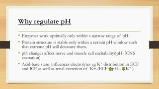 Why regulate pH
• Enzymes work optimally only within a narrow range of pH.
• Protein structure is stable only within a certain pH window such
that extreme pH will denature them.
• pH changes affect nerve and muscle cell excitability( pH- CNS
excitation)
• Acid-base state influences electrolytes eg K+ distribution in ECF
and ICF as well as renal excretion of K+.(ECF pH= K+ )
 