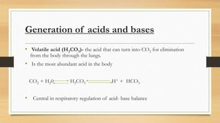 Generation of acids and bases
• Volatile acid (H2CO3)- the acid that can turn into CO2 for elimination
from the body through the lungs.
• Is the most abundant acid in the body
CO2 + H20 H2CO3 H+ + HCO3
• Central in respiratory regulation of acid- base balance
 