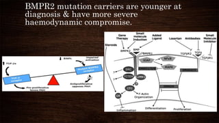 Pathophysiology of pulmonary hypertension | PPTX