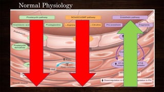 Pathophysiology of pulmonary hypertension | PPTX