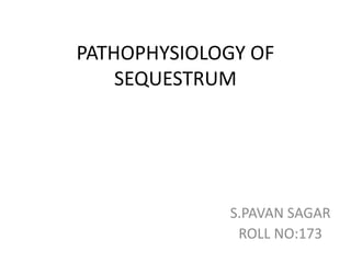 PATHOPHYSIOLOGY OF
SEQUESTRUM
S.PAVAN SAGAR
ROLL NO:173
 