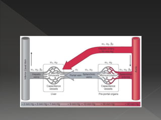 Pathophysiology of shock | PPTX