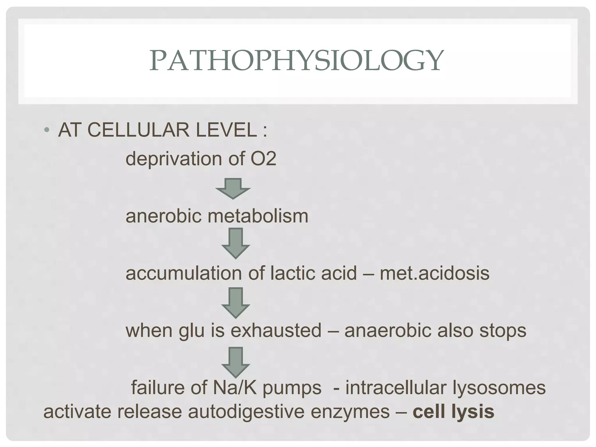 PATHOPHYSIOLOGY
• AT CELLULAR LEVEL :
deprivation of O2
anerobic metabolism
accumulation of lactic acid – met.acidosis
when glu is exhausted – anaerobic also stops
failure of Na/K pumps - intracellular lysosomes
activate release autodigestive enzymes – cell lysis
 