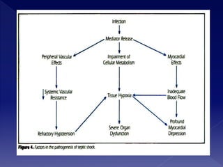 Pathophysiology of shock | PPTX