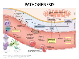Pathophysiology of shock and its management | PPTX