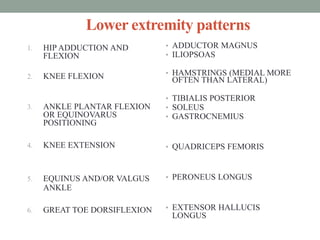 Lower extremity patterns
1. HIP ADDUCTION AND
FLEXION
2. KNEE FLEXION
3. ANKLE PLANTAR FLEXION
OR EQUINOVARUS
POSITIONING
4. KNEE EXTENSION
5. EQUINUS AND/OR VALGUS
ANKLE
6. GREAT TOE DORSIFLEXION
• ADDUCTOR MAGNUS
• ILIOPSOAS
• HAMSTRINGS (MEDIAL MORE
OFTEN THAN LATERAL)
• TIBIALIS POSTERIOR
• SOLEUS
• GASTROCNEMIUS
• QUADRICEPS FEMORIS
• PERONEUS LONGUS
• EXTENSOR HALLUCIS
LONGUS
 
