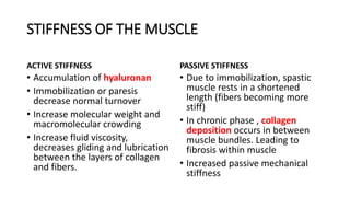 STIFFNESS OF THE MUSCLE
ACTIVE STIFFNESS
• Accumulation of hyaluronan
• Immobilization or paresis
decrease normal turnover
• Increase molecular weight and
macromolecular crowding
• Increase fluid viscosity,
decreases gliding and lubrication
between the layers of collagen
and fibers.
PASSIVE STIFFNESS
• Due to immobilization, spastic
muscle rests in a shortened
length (fibers becoming more
stiff)
• In chronic phase , collagen
deposition occurs in between
muscle bundles. Leading to
fibrosis within muscle
• Increased passive mechanical
stiffness
 