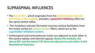 SUPRASPINAL INFLUENCES
• The dorsal RST , which originates from the ventromedial reticular
formation in the medulla, provides a powerful inhibitory effect on
the spinal stretch reflex.
• The medullary reticular formation receives cortical facilitation from
the motor cortex via corticoreticular fibers, which act as the
suprabulbar inhibitory system.
• Corticospinal and corticoreticular tracts run adjacent to each other in
the corona radiata and internal capsule. Below the medulla, the
dorsal RST and the lateral CST descend adjacent to each other in the
dorsolateral funiculus.
 