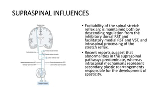 SUPRASPINAL INFLUENCES
• Excitability of the spinal stretch
reflex arc is maintained both by
descending regulation from the
inhibitory dorsal RST and
facilitatory medial RST and VST, and
intraspinal processing of the
stretch reflex.
• Recent reports suggest that
abnormalities in the supraspinal
pathways predominate, whereas
intraspinal mechanisms represent
secondary plastic rearrangements
responsible for the development of
spasticity.
 