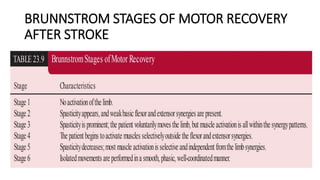 BRUNNSTROM STAGES OF MOTOR RECOVERY
AFTER STROKE
 
