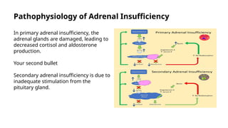 Pathophysiology Of Thyroid Storm And Adrenal Insufficiency With Their ...
