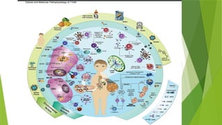 PATHOPHYSIOLOGY OF TYPE 1 DIABETES MELLITUS 2.pptx