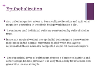 Pathophysiology of wound healing | PPT