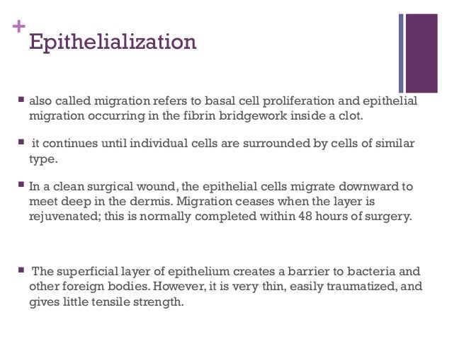 Epithelialized