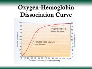 Oxygen-Hemoglobin
Dissociation Curve
 