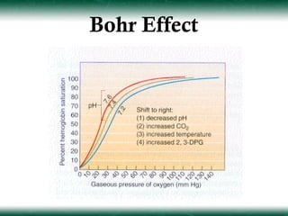 Bohr Effect
 