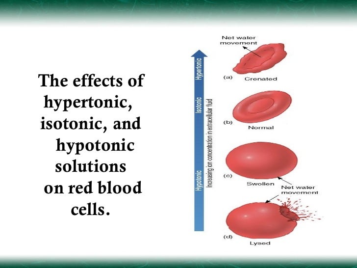 Pathophysiology part 1