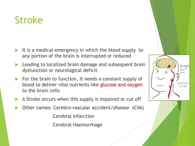 Pathophysiology stroke | PPTX | Brain and Nervous System Disorders ...