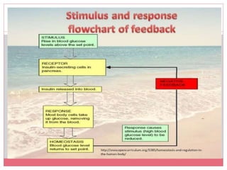 Stimul Pathophysiology Unit-I. Power Presentation | PPTX