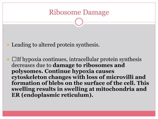 Pathophysiology Unit-I. Power Presentation | PPTX