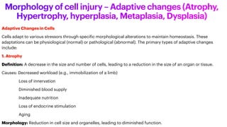 Pathophysiology_Unit1_BPharm CELL INJURY | PDF