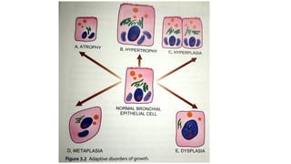 Pathophysiology_Unit1_BPharm CELL INJURY | PDF