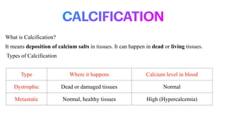 Pathophysiology_Unit1_BPharm CELL INJURY | PDF