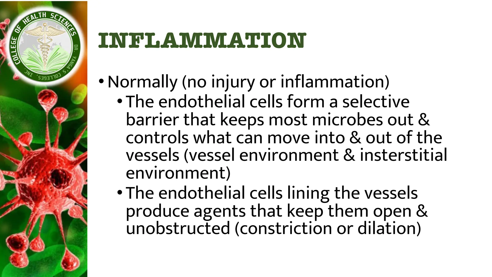 INFLAMMATION
•Normally (no injury or inflammation)
•The endothelial cells form a selective
barrier that keeps most microbes out &
controls what can move into & out of the
vessels (vessel environment & insterstitial
environment)
•The endothelial cells lining the vessels
produce agents that keep them open &
unobstructed (constriction or dilation)
 