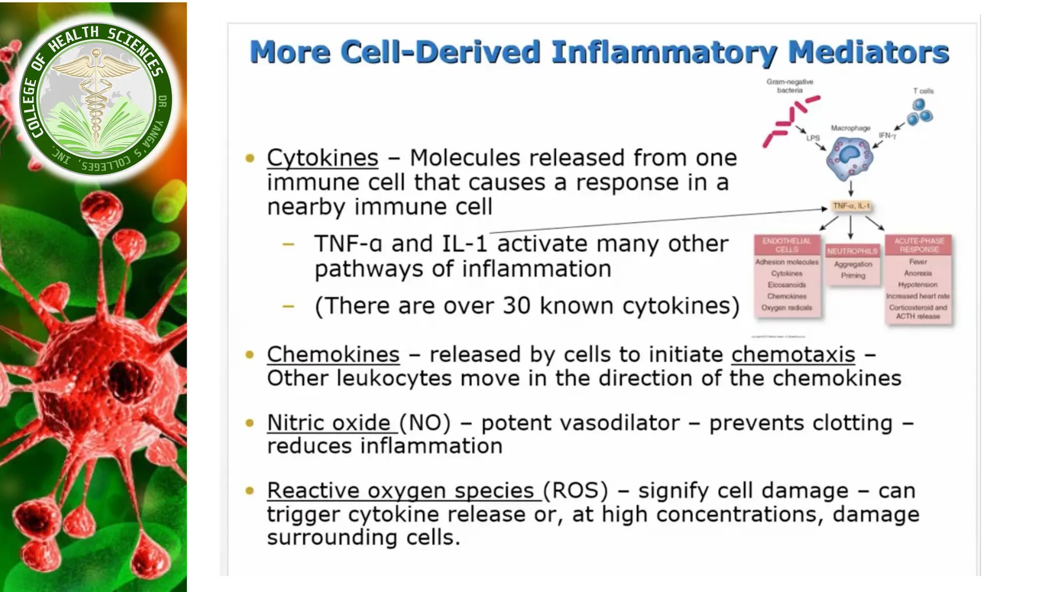 Pathophysio_Module_2 - Inflammatory Response