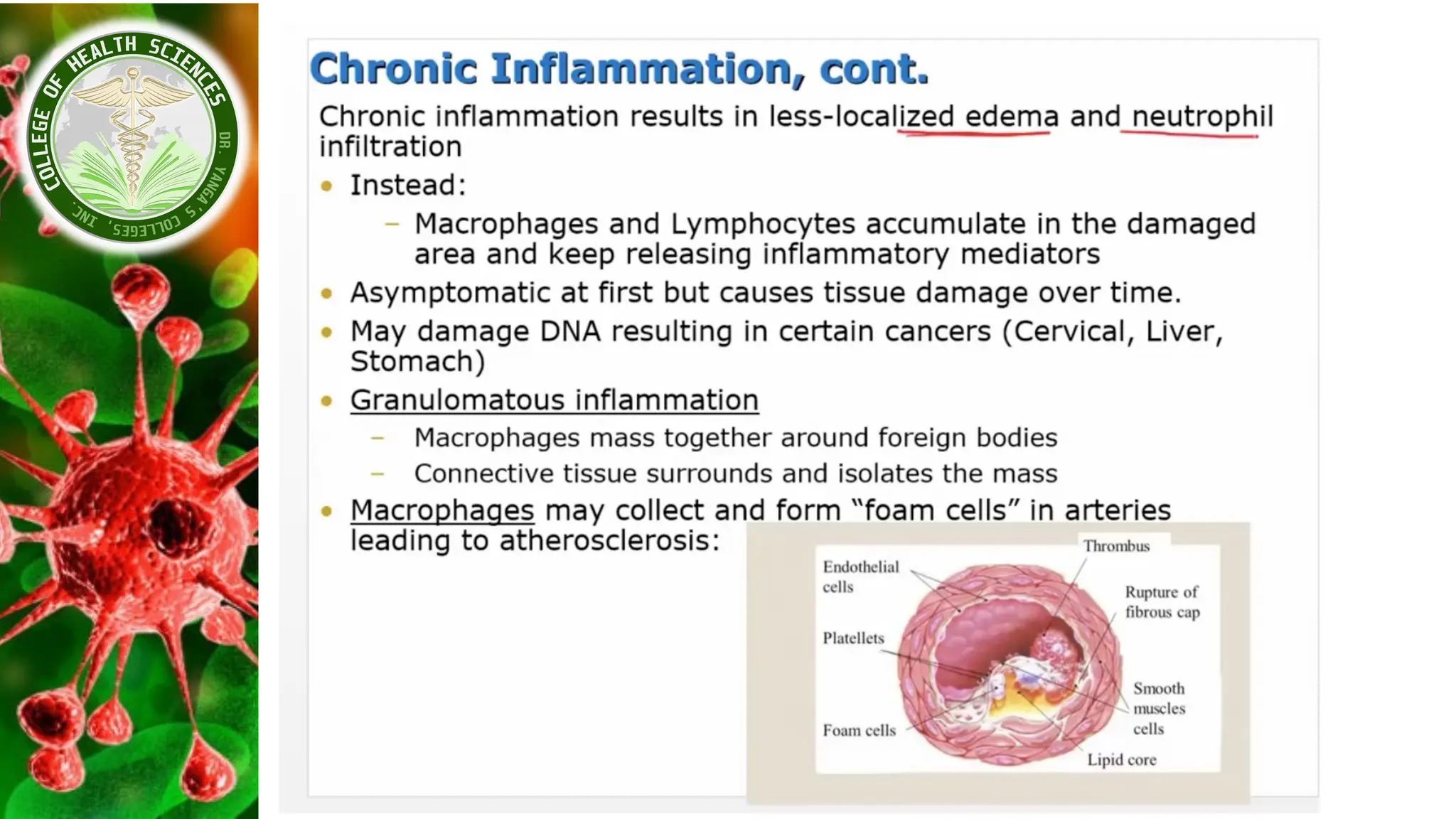 Pathophysio_Module_2 - Inflammatory Response