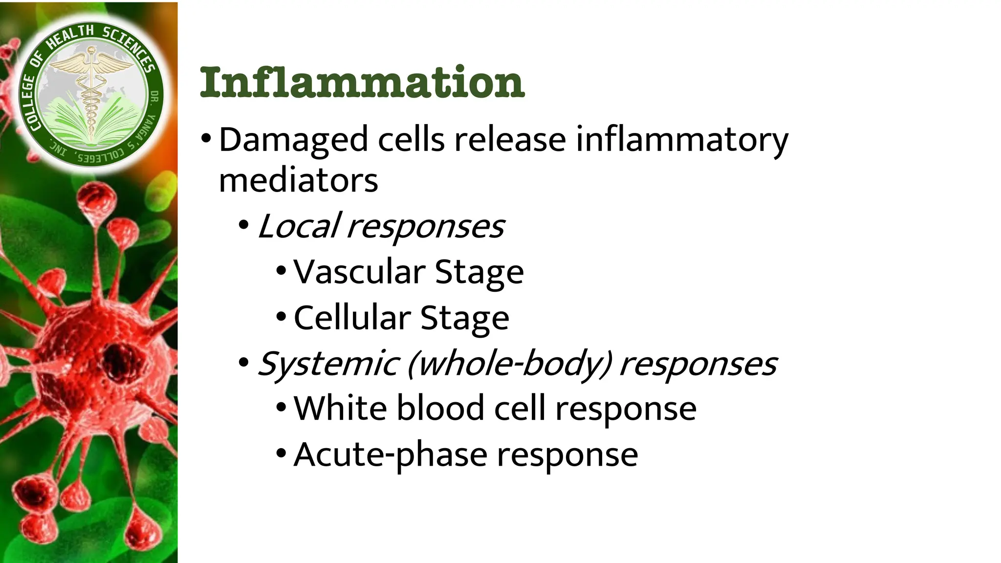 Inflammation
•Damaged cells release inflammatory
mediators
•Local responses
•Vascular Stage
•Cellular Stage
•Systemic (whole-body) responses
•White blood cell response
•Acute-phase response
 