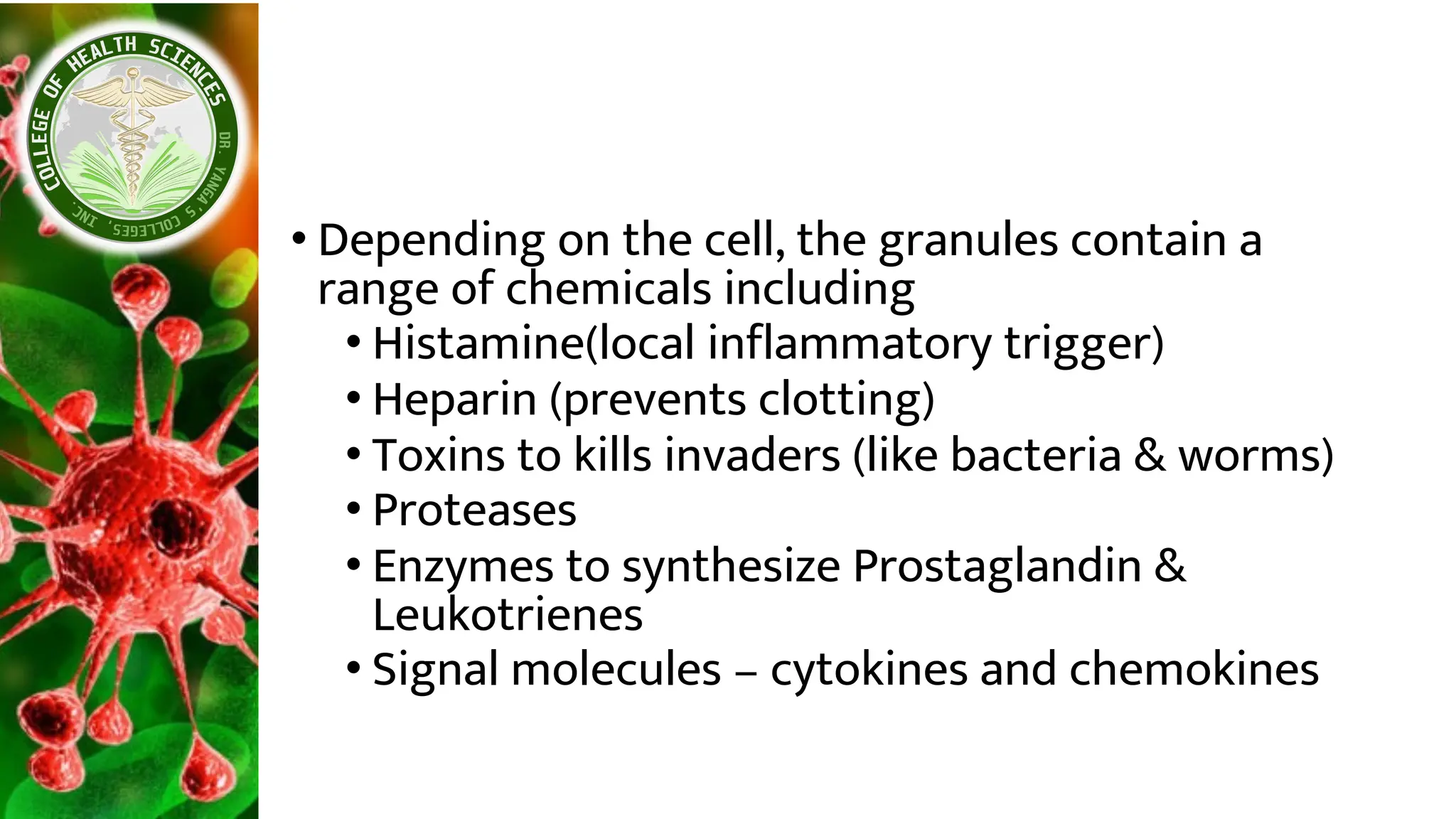 • Depending on the cell, the granules contain a
range of chemicals including
• Histamine(local inflammatory trigger)
• Heparin (prevents clotting)
• Toxins to kills invaders (like bacteria & worms)
• Proteases
• Enzymes to synthesize Prostaglandin &
Leukotrienes
• Signal molecules – cytokines and chemokines
 