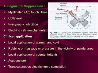 Pathophysio of pain | PPT