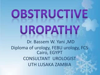 Dr. Bassem W. Yani ,MD
Diploma of urology, FEBU urology, FCS
Cairo, EGYPT
CONSULTANT UROLOGIST
UTH LUSAKA ZAMBIA
 